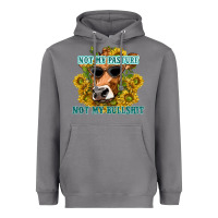 Storm not my pasture not my bullshit Heavyweight Hoodie - texasbilliewilder