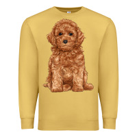 Antique Gold toy poodle Premium Sweatshirt - RanaPortraitStore