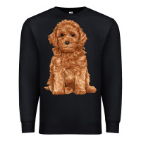 Black toy poodle Premium Sweatshirt - RanaPortraitStore