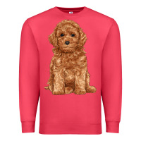 Cardinal toy poodle Premium Sweatshirt - RanaPortraitStore