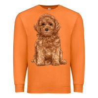 Carrot toy poodle Premium Sweatshirt - RanaPortraitStore