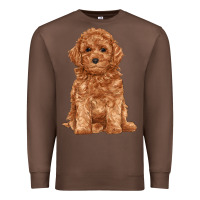 Chestnut toy poodle Premium Sweatshirt - RanaPortraitStore