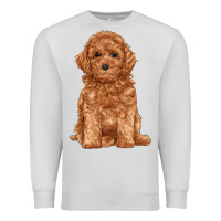 Dove Grey toy poodle Premium Sweatshirt - RanaPortraitStore