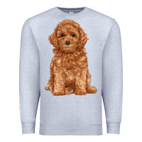 Heather Grey toy poodle Premium Sweatshirt - RanaPortraitStore