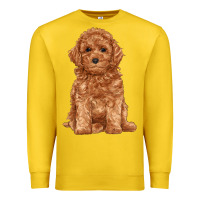 Lemon toy poodle Premium Sweatshirt - RanaPortraitStore
