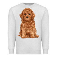 Toy Poodle Premium Sweatshirt | Teevron
