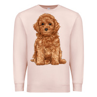 Pale Pink toy poodle Premium Sweatshirt - RanaPortraitStore