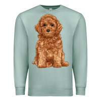 Seafoam toy poodle Premium Sweatshirt - RanaPortraitStore