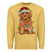 Antique Gold toy poodle with christmas lights Premium Sweatshirt - RanaPortraitStore