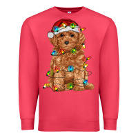 Cardinal toy poodle with christmas lights Premium Sweatshirt - RanaPortraitStore