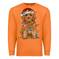 Carrot toy poodle with christmas lights Premium Sweatshirt - RanaPortraitStore