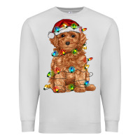 Toy Poodle With Christmas Lights Premium Sweatshirt | Teevron