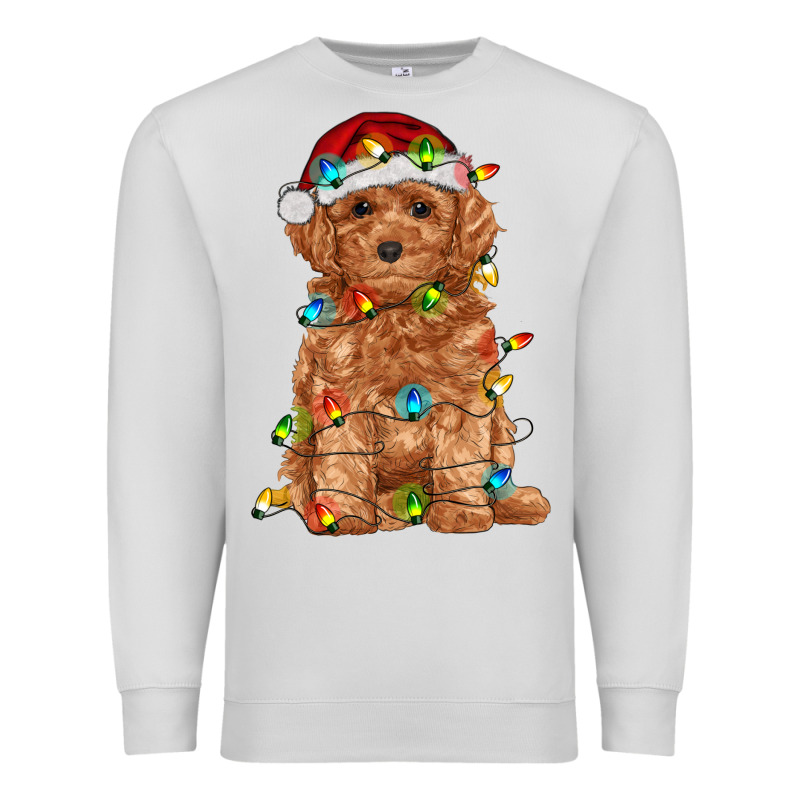 Toy Poodle With Christmas Lights Premium Sweatshirt by RanaPortraitStore | Teevron