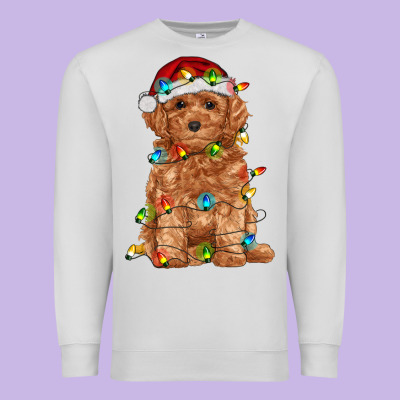 Toy Poodle With Christmas Lights Premium Sweatshirt Designed By Ranaportraitstore