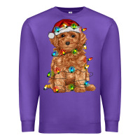 Purple toy poodle with christmas lights Premium Sweatshirt - RanaPortraitStore