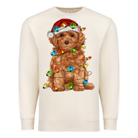 Sandshell toy poodle with christmas lights Premium Sweatshirt - RanaPortraitStore