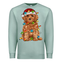 Seafoam toy poodle with christmas lights Premium Sweatshirt - RanaPortraitStore