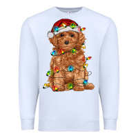 White toy poodle with christmas lights Premium Sweatshirt - RanaPortraitStore