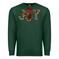 Sports Green labrador retriever christmas joy Premium Sweatshirt - RanaPortraitStore