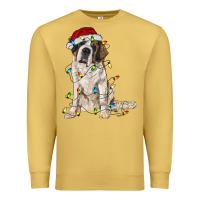 Antique Gold saint bernard with christmas lights Premium Sweatshirt - RanaPortraitStore
