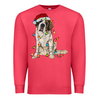 Cardinal saint bernard with christmas lights Premium Sweatshirt - RanaPortraitStore