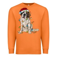 Carrot saint bernard with christmas lights Premium Sweatshirt - RanaPortraitStore