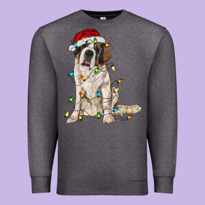 Saint Bernard With Christmas Lights Premium Sweatshirt Designed By Ranaportraitstore