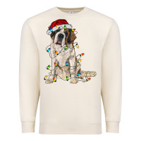 Sandshell saint bernard with christmas lights Premium Sweatshirt - RanaPortraitStore