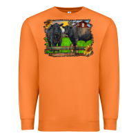 Carrot black angus cattle and bull in barnyard Premium Sweatshirt - RanaPortraitStore