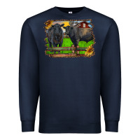 Navy black angus cattle and bull in barnyard Premium Sweatshirt - RanaPortraitStore