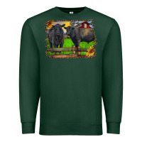 Sports Green black angus cattle and bull in barnyard Premium Sweatshirt - RanaPortraitStore