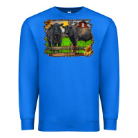 True Royal black angus cattle and bull in barnyard Premium Sweatshirt - RanaPortraitStore