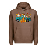 Chestnut fall gnomes truck pumpkin sunflowers Premium Hoodie - Artiststas