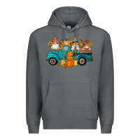 Rock fall gnomes truck pumpkin sunflowers Premium Hoodie - Artiststas