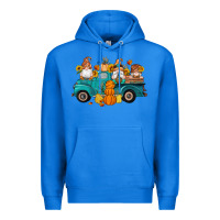 True Royal fall gnomes truck pumpkin sunflowers Premium Hoodie - Artiststas
