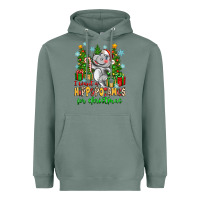 Sage i want a hippopotamus for christmas Heavyweight Hoodie - Zillion Design Studio