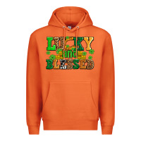 Lucky And Blessed With Coins And Shamrocks Premium Hoodie | Teevron
