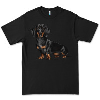 Black Dachshund Dog Illustrations Premium Tee - LillyAllenDesigns