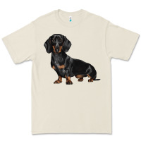 Dachshund Dog Illustrations Premium Tee | Teevron