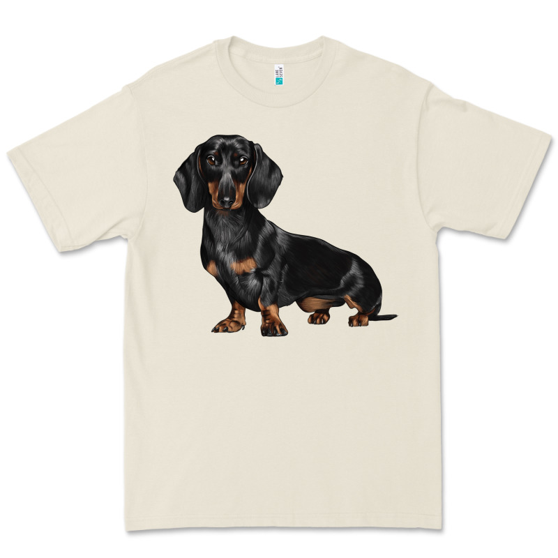 Dachshund Dog Illustrations Premium Tee by LillyAllenDesigns | Teevron