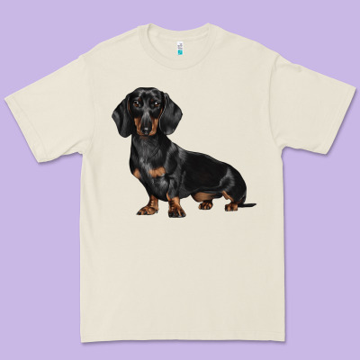 Dachshund Dog Illustrations Premium Tee Designed By Lillyallendesigns