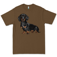 Cacao Dachshund Dog Illustrations Premium Tee - LillyAllenDesigns