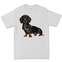 Dove Grey Dachshund Dog Illustrations Premium Tee - LillyAllenDesigns