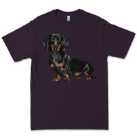 Plum Dachshund Dog Illustrations Premium Tee - LillyAllenDesigns