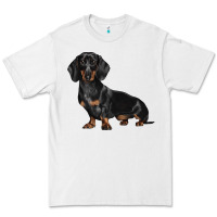 White Dachshund Dog Illustrations Premium Tee - LillyAllenDesigns