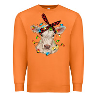Carrot charolais calf with christmas lights baby cow Premium Sweatshirt - RanaPortraitStore