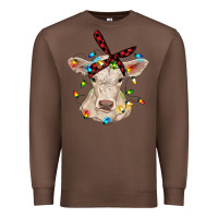 Chestnut charolais calf with christmas lights baby cow Premium Sweatshirt - RanaPortraitStore
