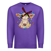 Purple charolais calf with christmas lights baby cow Premium Sweatshirt - RanaPortraitStore