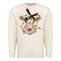 Sandshell charolais calf with christmas lights baby cow Premium Sweatshirt - RanaPortraitStore