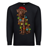 Black Christmas labrador retriever Premium Sweatshirt - RanaPortraitStore